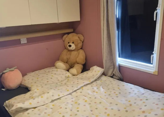 Stacaravan 161 Bongerd 5 Sterren Gezin 5 Personen Maximaal 2 Volwassenen Kamp alanı Tuitjenhorn