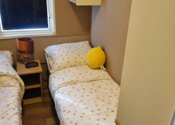 Stacaravan 161 Bongerd 5 Sterren Gezin 5 Personen Maximaal 2 Volwassenen *