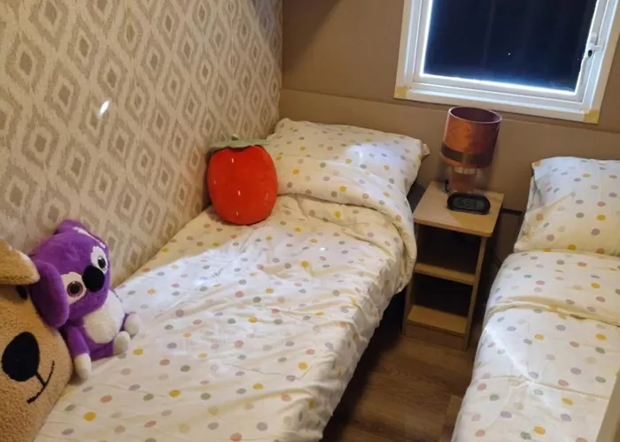 Camping Stacaravan 161 Bongerd 5 Sterren Gezin 5 Personen Maximaal 2 Volwassenen *